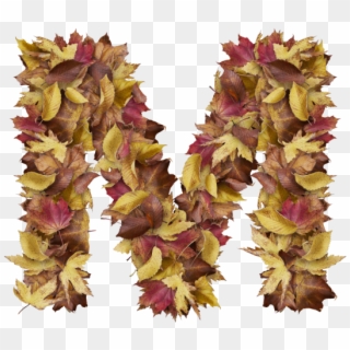 Letter M From Dry Leaves Clipart