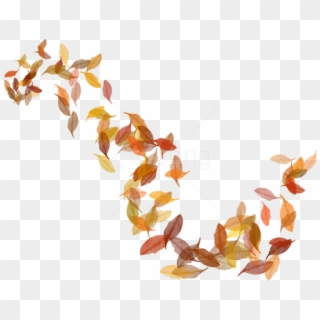 Free Png Png Images Transparent - Autumn Leaves Png Transparent Clipart