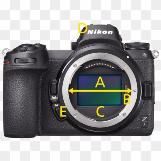 Nikon Z - Nikon Z6 Vs Nikon D610 Clipart