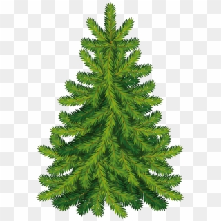 Christmas Clipart, Coniferous Trees, Tree Graphic, - Christmas Tree - Png Download