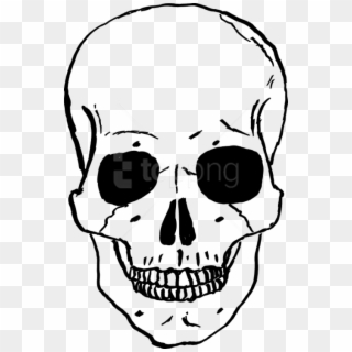 Free Png Download Skulls Clipart Png Photo Png Images - Human Skull Cartoon Transparent Png