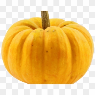Pumpkin Png Image2 - Pumpkin Clipart