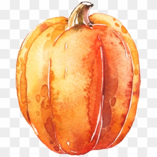 1920 X 2356 11 Clipart