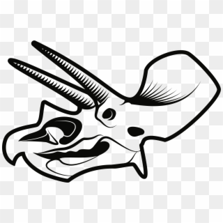 Big Image - Dinosaur Skeleton Head Drawing Clipart