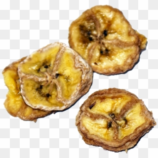 Banana Coins - Tiostrea Chilensis Clipart