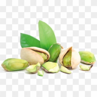 Pistachio Nuts Png Clipart