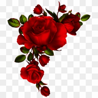 Yükle Red Rose Petals Vector Material, Background, - Transparent Background Rose Border Clipart