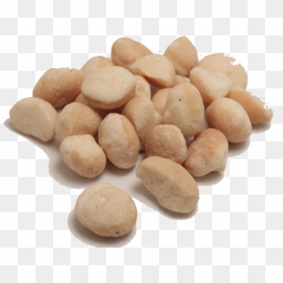 Macadamia Nuts Png Transparent Image - Macadamia Nuts Transparent Clipart