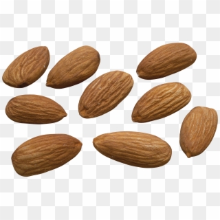 Blanched Almonds Clipart