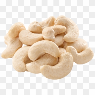 Cashew Nut Png Clipart