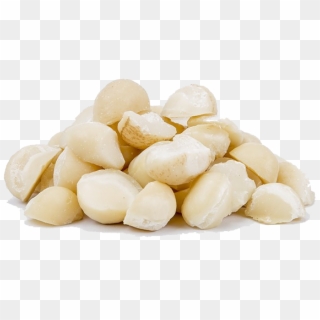 Macadamia Nuts Png Download Image - Macadamia Nuts Png Clipart