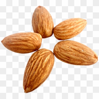 Almond Png Clipart