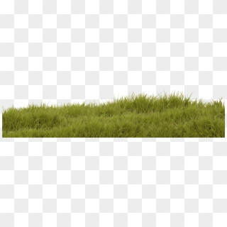 Herbe3 - Sweet Grass Clipart