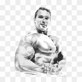 Arnold Schwarzenegger - “ - Arnold Hd Wallpaper Sketch Clipart