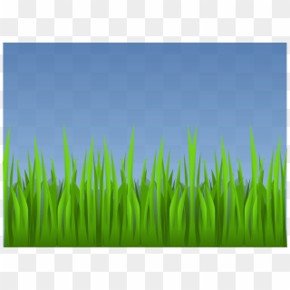 Grass Landscape Wallpaper - Grass Fight In Texas Clipart