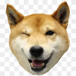 Doge Head Png Clipart