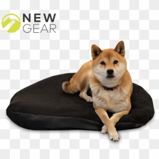 Write Your Own Review - Shiba Inu Clipart