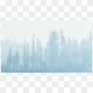 Score 50% - Spruce-fir Forest Clipart