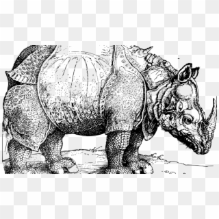 Rhinos Drawing Horn Rhino - Albrecht Durer Rhinoceros Clipart