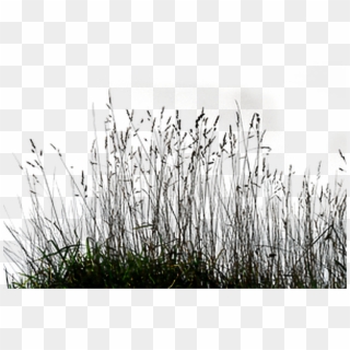 Ftestickers Sticker - Grass Black And White Png Clipart