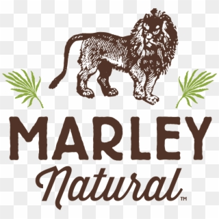 Bob Marley Family Lends Reggae Legend's Name To Cannabis - Marley Natural Logo Clipart