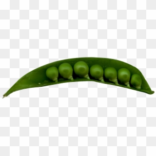 Peas In A Pod Png Image - Snap Pea Clipart