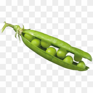 Peas In A Pod - Png Pea Clipart