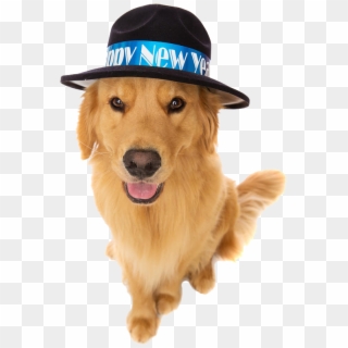 Southeastern Guide Dogs As The New Year Clipart