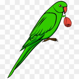 Parrot Bird Clipart Free Download Best Parrot Bird - Png Download