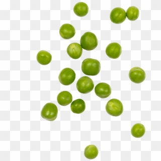 Organic Peas - Circle Clipart
