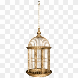 #birdcage #cage Clipart