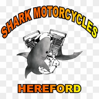 Cropped-sharks Clipart