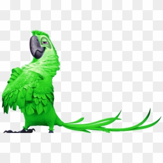 Luz Verde Png , Png Download - Old Bird In Rio Clipart