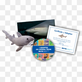 Items Included In Buddy Package - Great White Shark Clipart