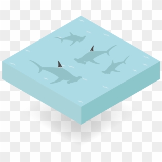 Sharks - Box Clipart