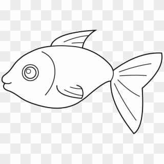 Picture Black And White Download Fish Outline Clip - Line Art Of Fish - Png Download