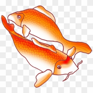 Koi Fish Png Clipart