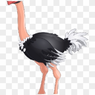 Ostrich Clipart Circus - Png Download