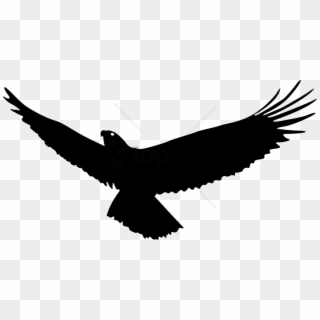 Free Png Eagle Flying Silhouette Png Image With Transparent Clipart