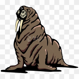 Free Png Walrus Png Images Transparent Clipart
