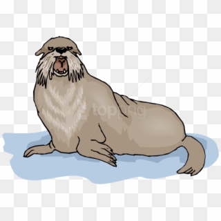 Free Png Walrus Background Png Png Images Transparent Clipart