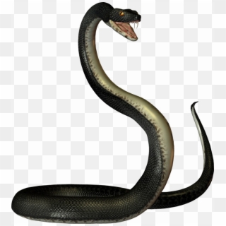 Black Mamba Snake Png Transparent Image Clipart