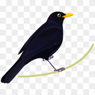 Blackbird Clipart