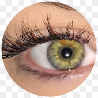Eyelash Extensions - Eye Shadow Clipart