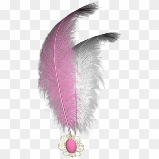 #mq #pink #white #feather #feathers - Feather Clipart