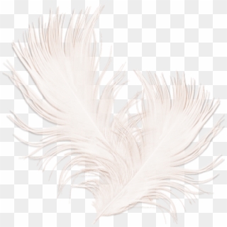 #mq #white #feather #feathers - Feather Clipart