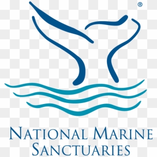 Nms Logo Color - Florida Keys National Marine Sanctuary Logo Clipart