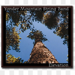 Yonder Mountain String Band Elevation Clipart