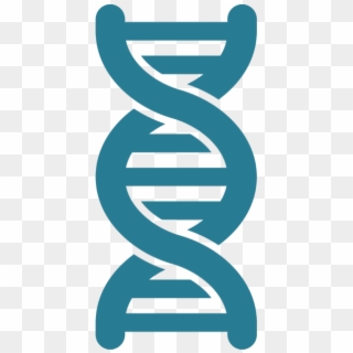 Dna Icon - Nucleic Acid Icon Clipart