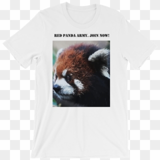 Red Panda Army Clipart